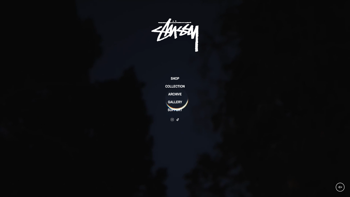 STÜSSY screenshot
